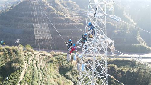 國網壽寧縣供電公司：封網跨越架線施工 強電網助發展