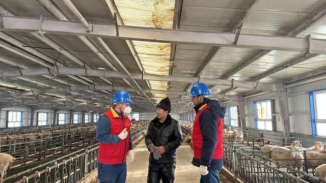 國網阿克蘇市供電公司電力賦能 助力養殖戶“羊”帆起航