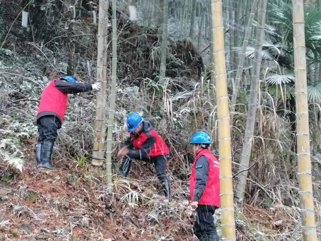 國網建陽區供電公司全力防抗今冬首場降雪寒潮