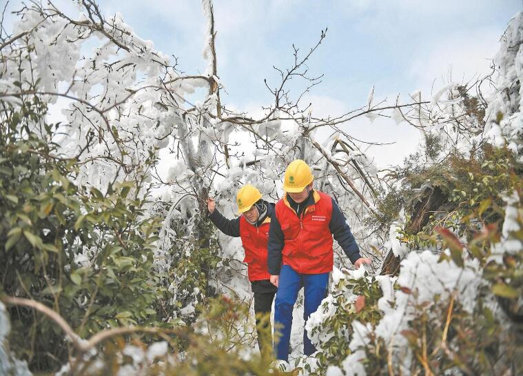 國網浙江省電力有限公司：黨旗飄揚一線 戰寒潮保供電