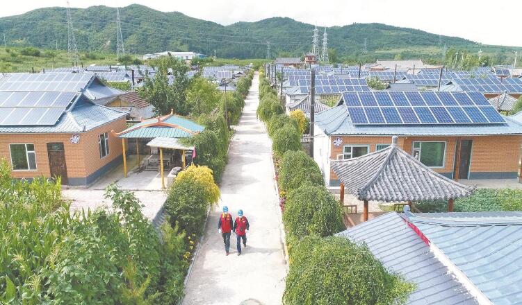 國網吉林電力(和龍供電檢修)共產黨員服務隊服務優電力足 產業興鄉村美