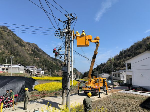 湖北竹溪供電公司一線監督助力春茶穩產增收