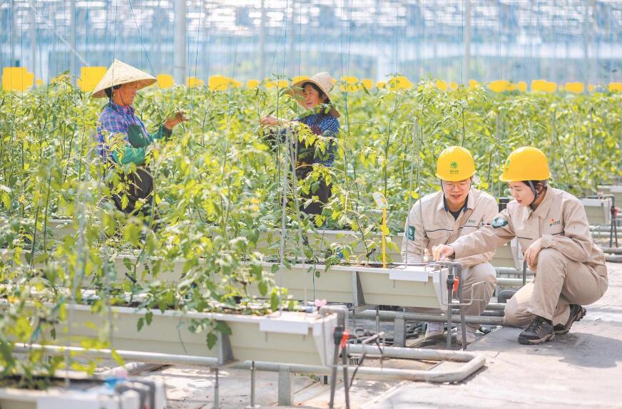 國網上海電力公司團委深入推進青年精神素養提升工程