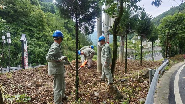 湖北竹溪供電公司著力開展“清風為民助服務”活動