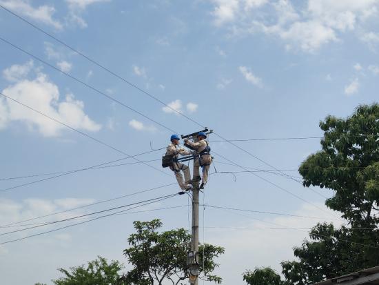 重慶開州老舊臺區升級改造 提升鄉村供電質量