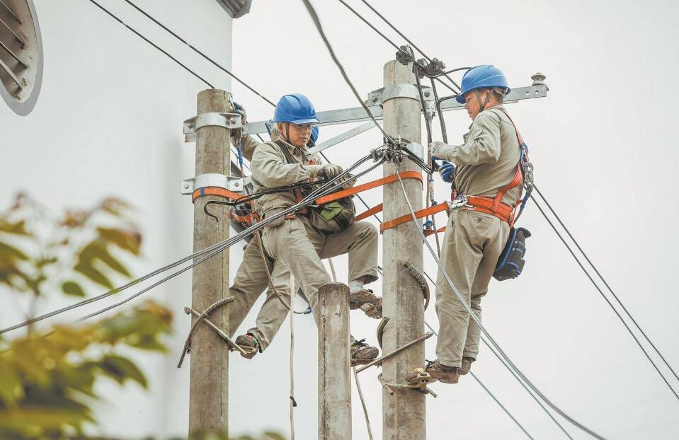 國網祁門縣供電公司快速遷改桿線 服務村民出行