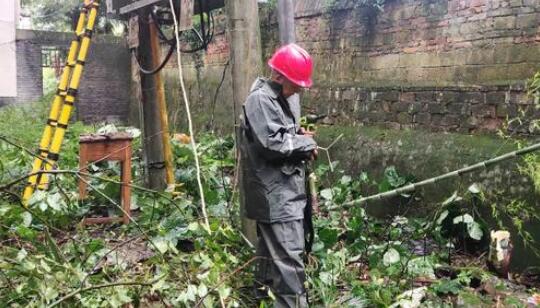 國網鼎城供電公司暴雨搶修保供電