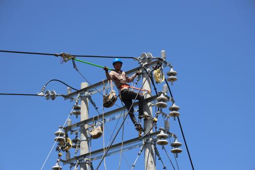 國網壽寧縣供電公司電力賦能 助企業發展增添動力