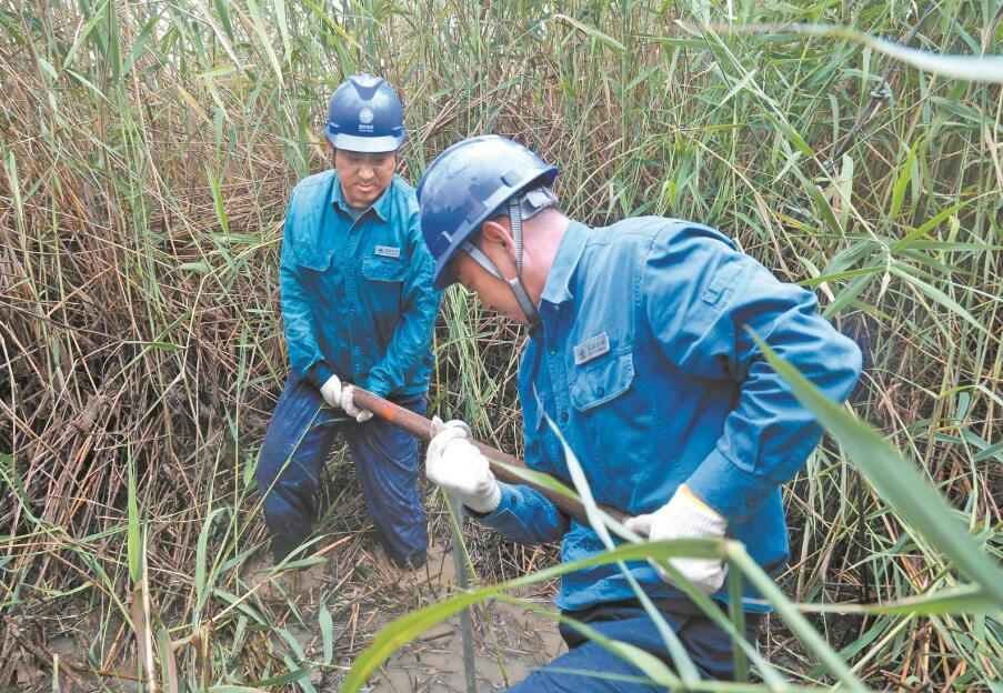 山東微山縣供電公司：湖區(qū)中央換拉線(xiàn) 一身濕透半身泥