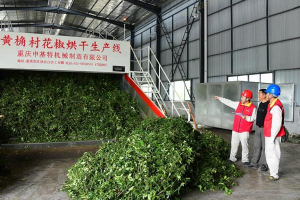 國網重慶市電力公司“電靚和美鄉村”故事大賽作品火熱征集中