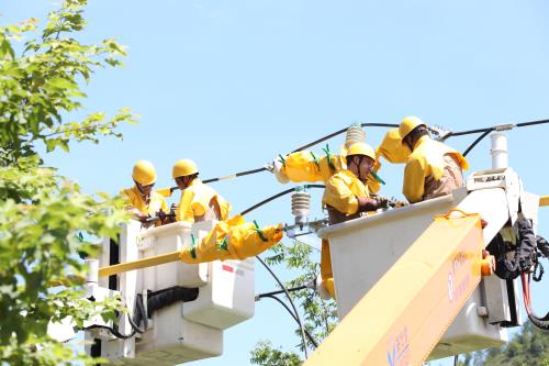 國網壽寧縣供電公司“雙車共舞”聯合帶電作業保障客戶用電