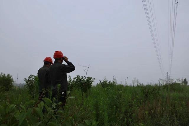 國網新安縣供電公司加強線路巡視 筑牢電網安全堤壩