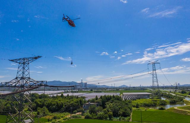 直升機帶電作業 保障電網迎峰度夏