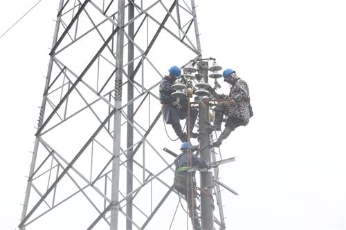 國網壽寧縣供電公司頂風冒雨搶修 保障居民正常用電