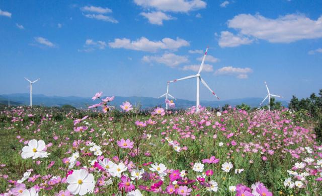 中廣核在滇繪制清潔能源高質量發展新圖景