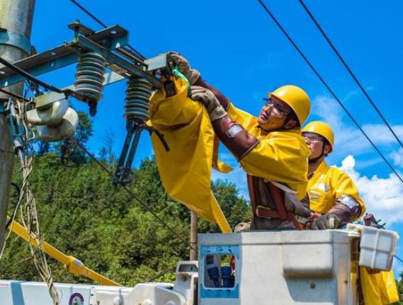 國網順昌縣供電公司戰高溫 帶電安裝開關