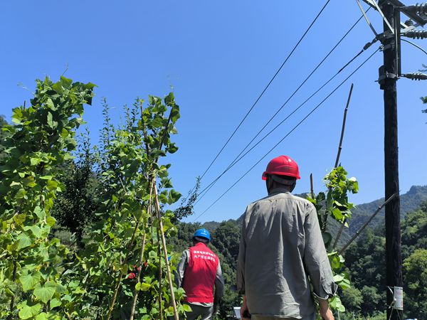 湖北竹溪供電公司暢通電力生命線 助力打贏迎峰度夏保供電攻堅戰