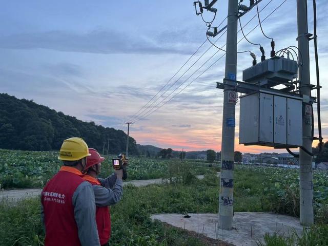 國網茶陵縣供電公司繪就鄉鎮振興“共富圖”